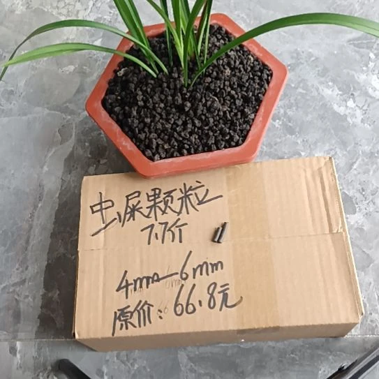 李***鹏兰菌黑山土虫屎颗粒7.7斤