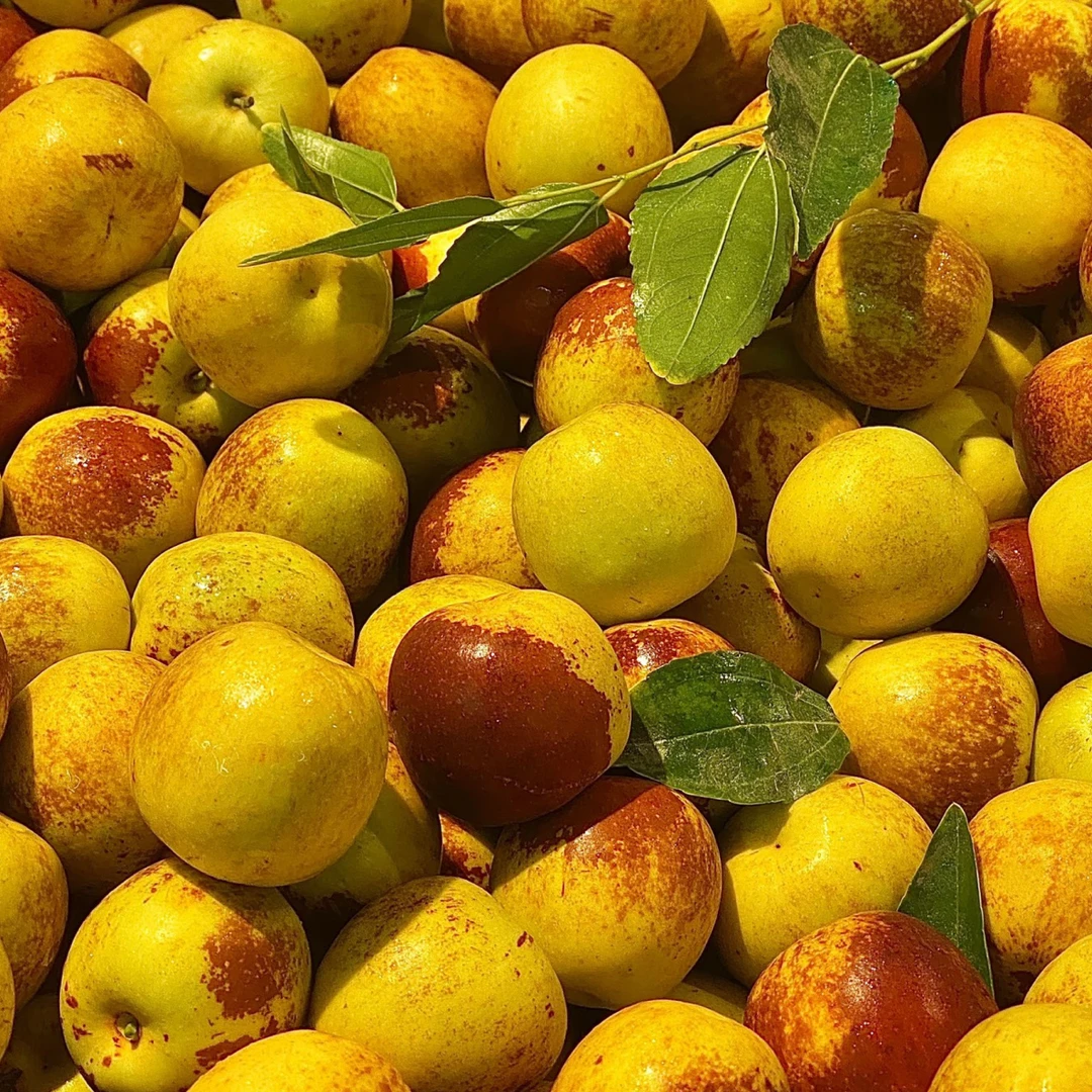 【家华壹号冬枣4斤】口感酥脆甜，惊爆价秒杀