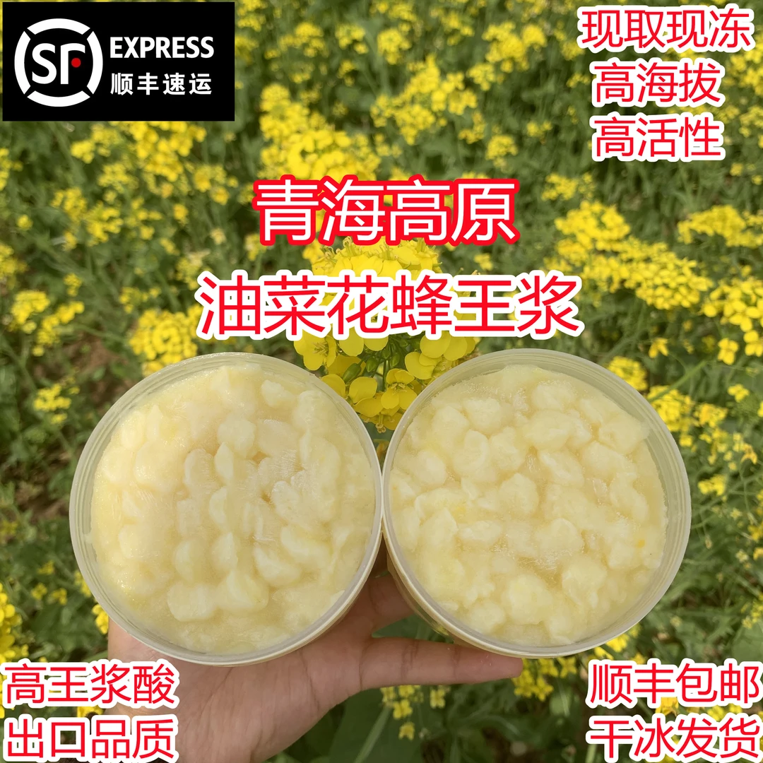 2025青海高原油菜花蜂王浆现取现冻顺丰冷链高品质滋补品到货不化