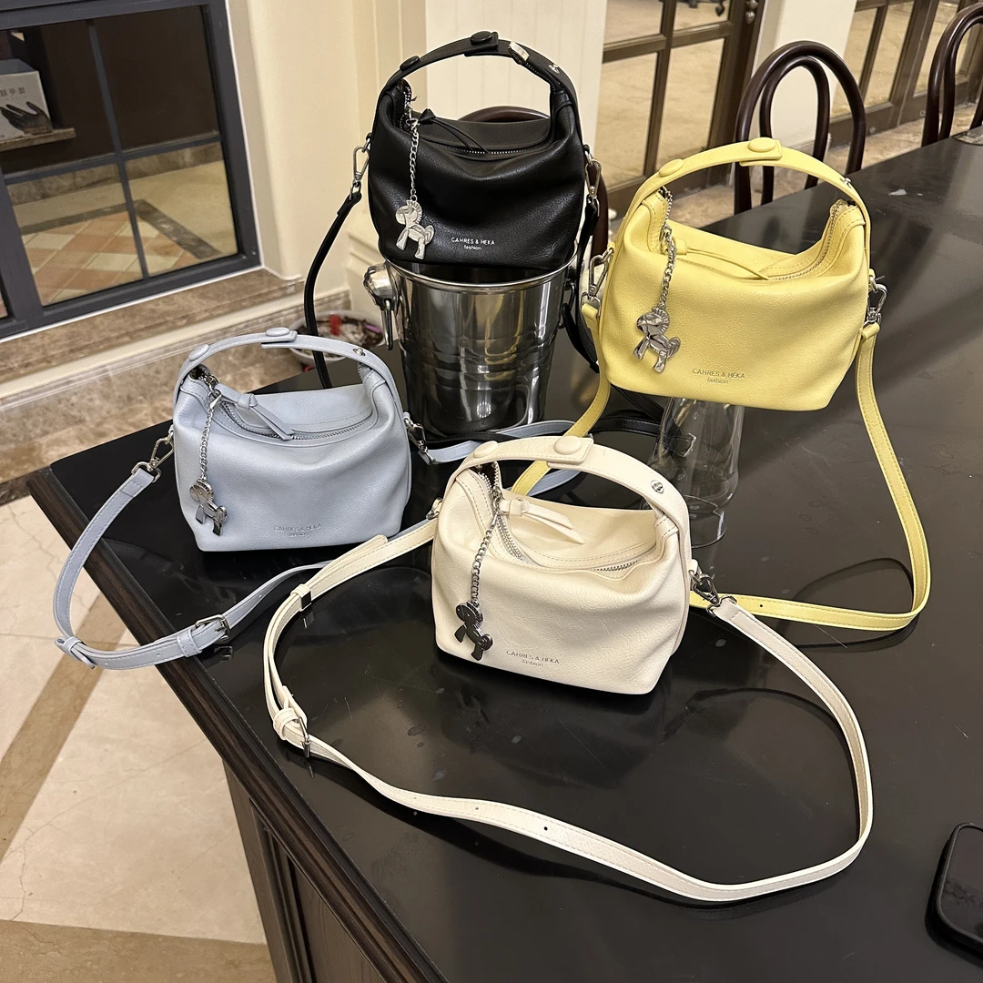 2025年春夏新款时尚简约手拎肩挎便当包女包 DZ 19158 软皮小众