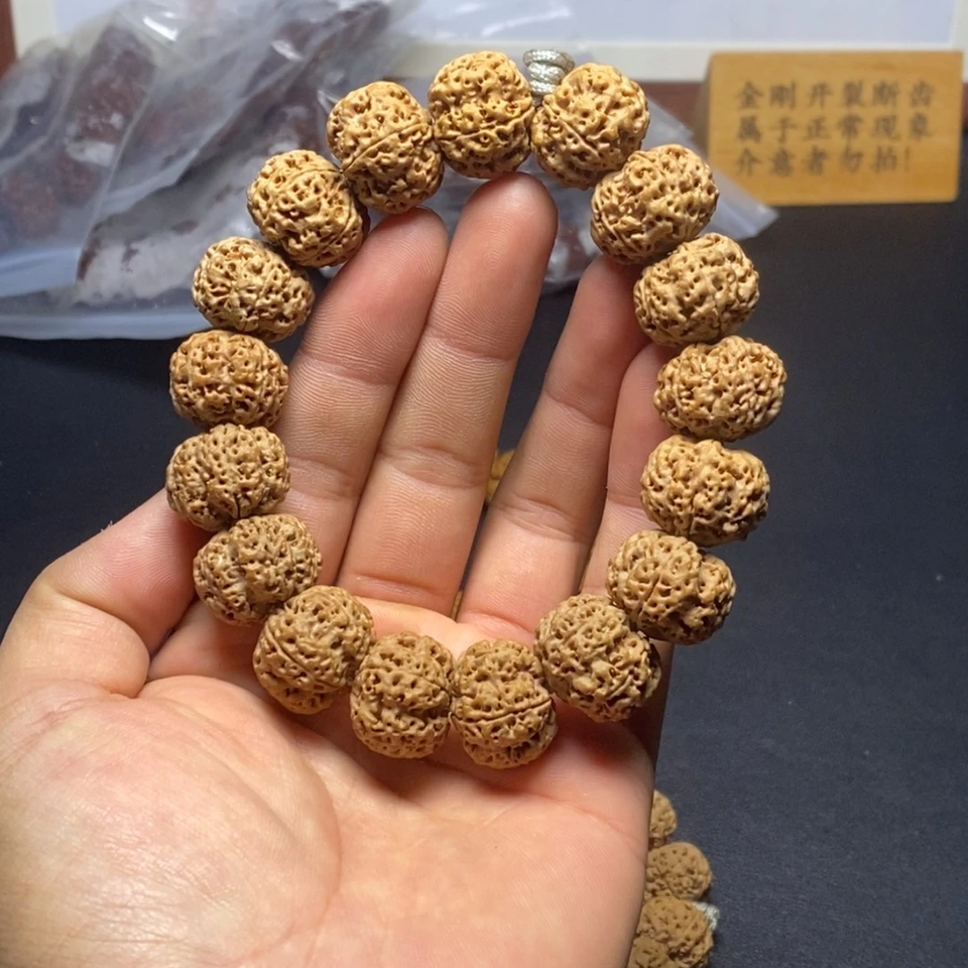 菩提金刚菩提6号，