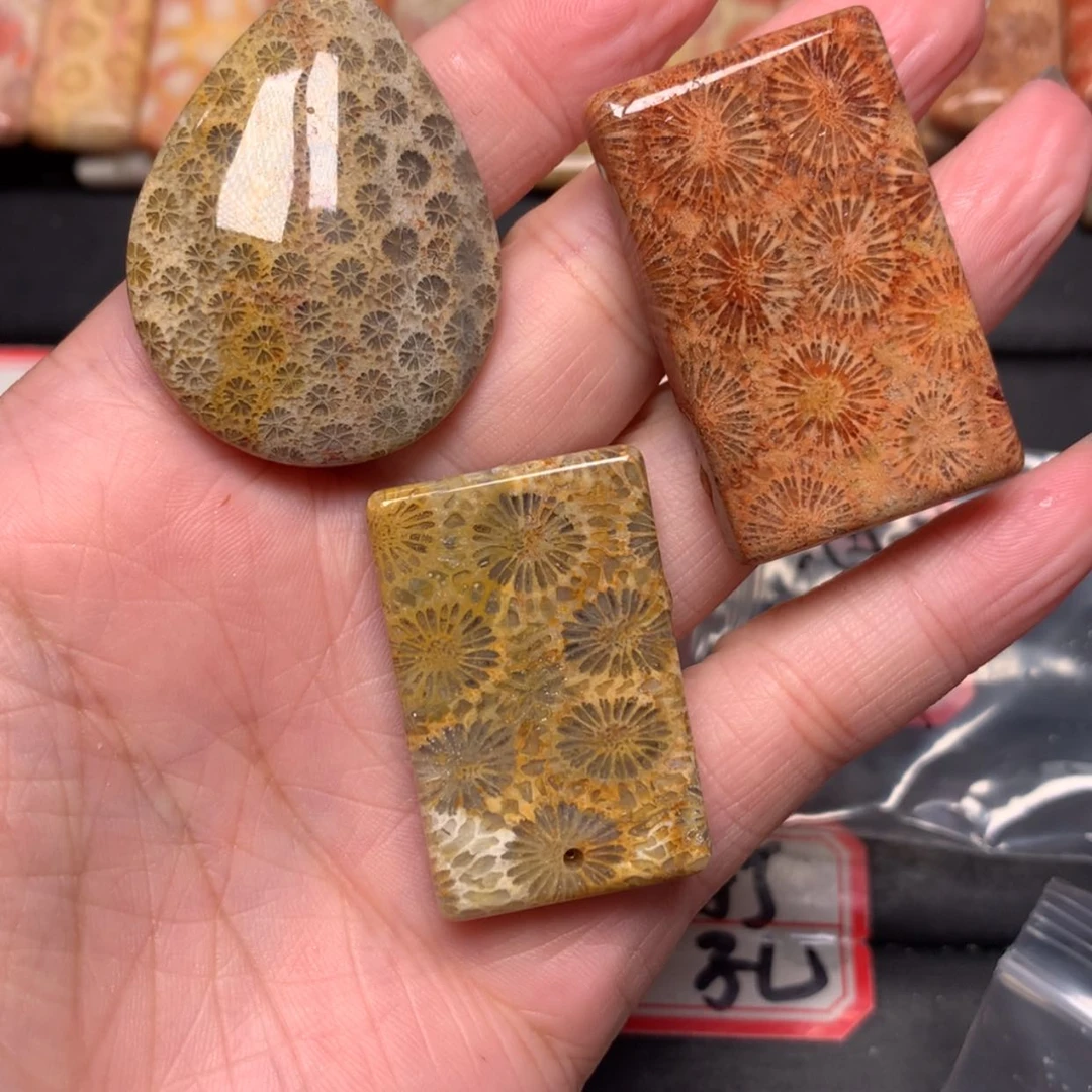 【闪购商品】未镶嵌颈饰硅化玉水**子