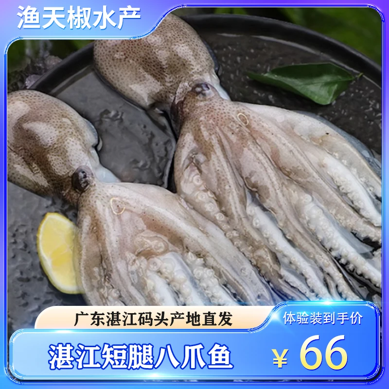 【特价抢4斤】广东湛江新鲜八爪鱼盐冻章鱼花墨鱼鱿鱼章鱼短腿2/4斤