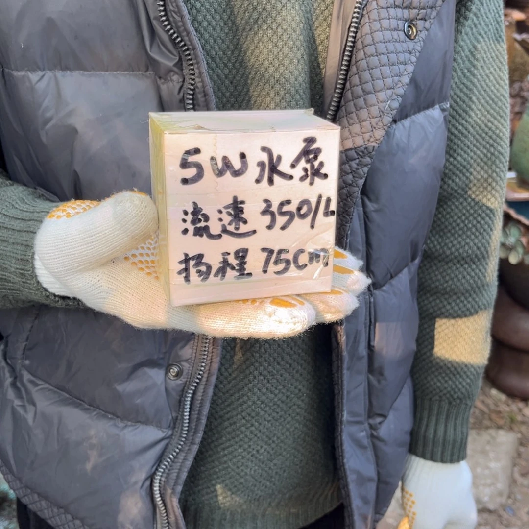 5 W流水泵正品正品