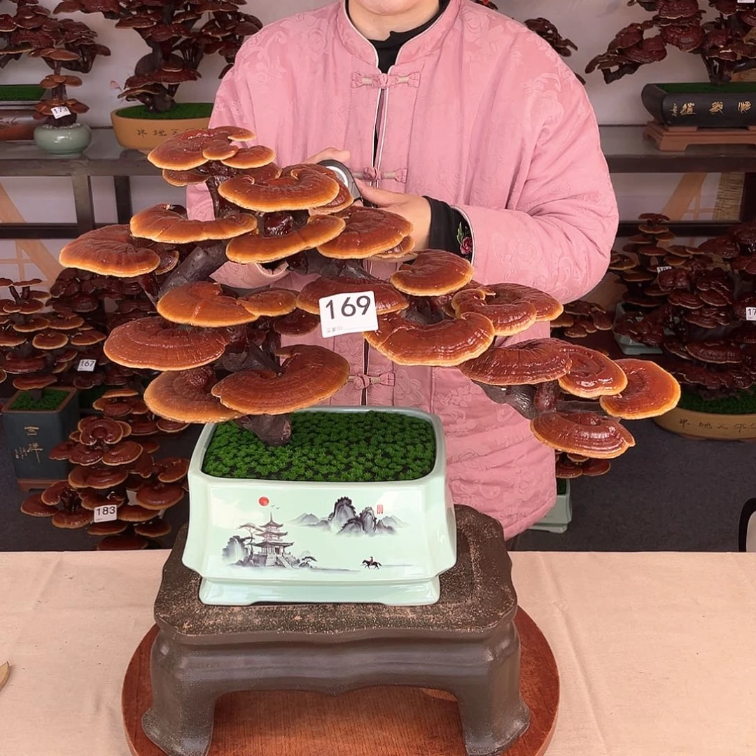 万事如意88888169