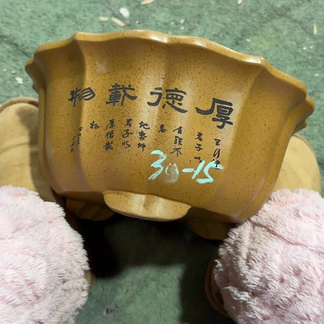 花盆紫砂紫砂花盆