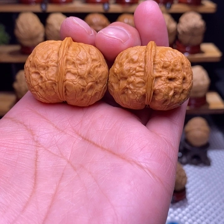 木质类云铁小鲲鹏元宝55号