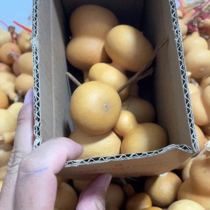 下播福利20一箱无售后