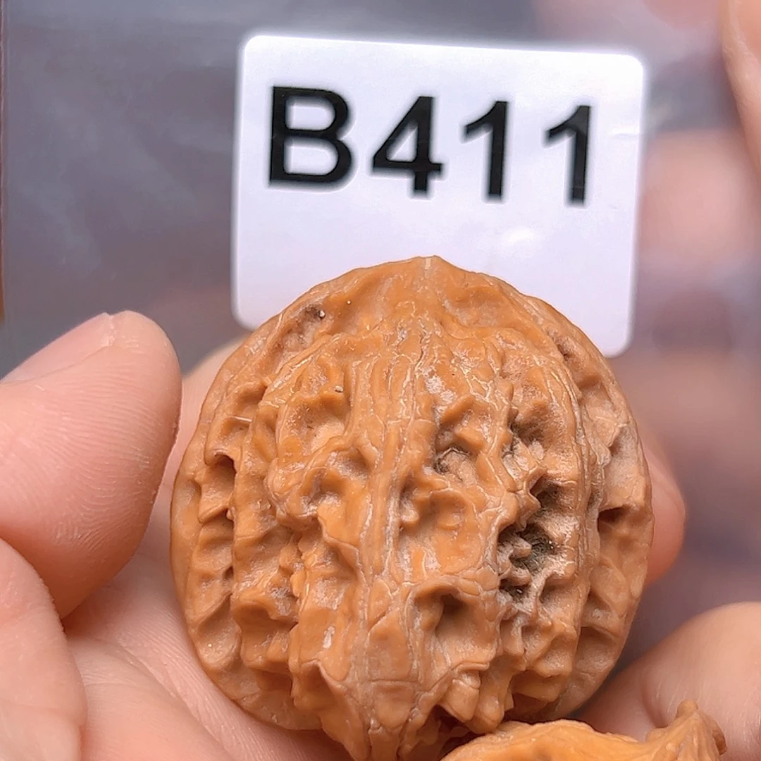 ****伟核桃苹果园。    又断齿。