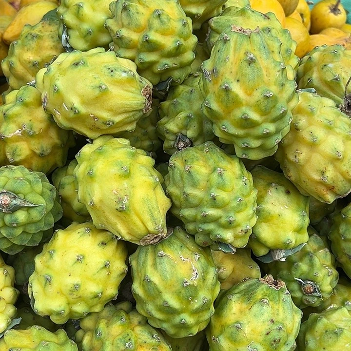 中国大陆燕窝果5斤