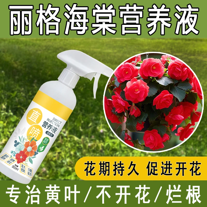 2025新款【丽格海棠专用营养液】急救叶子发黄烂根催花专业免稀释
