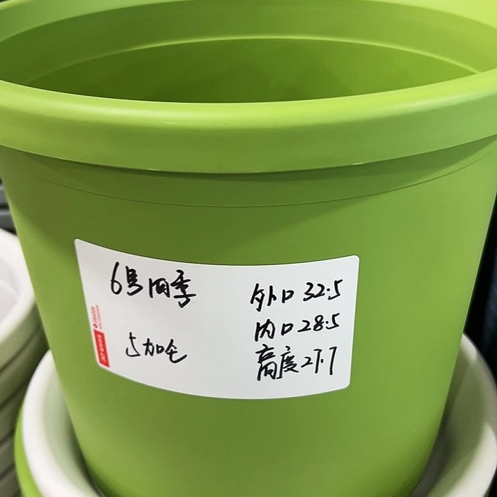特价6号口32高28果绿无托7只