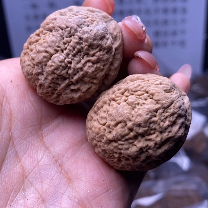 核桃云南野生铁核桃146号35mm
