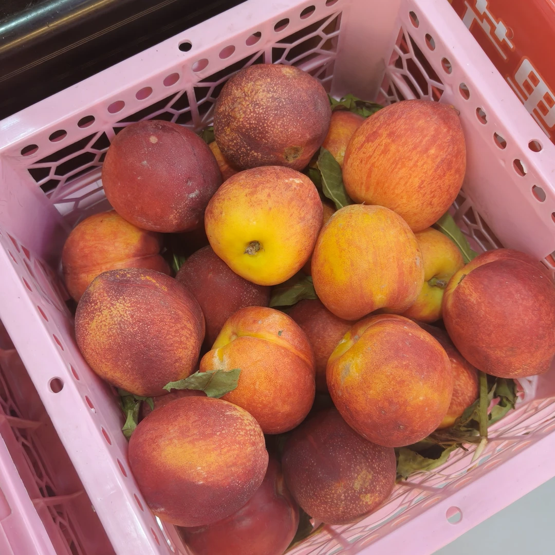 特价麻油桃2000克四川省