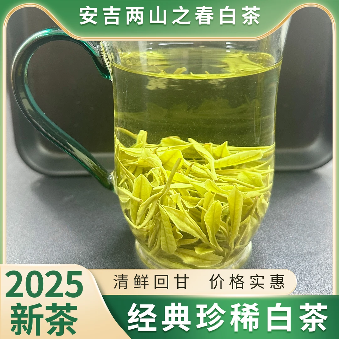【中秋福利款】2025年新茶安吉原产地鲜爽回甘 白茶明前好茶B06