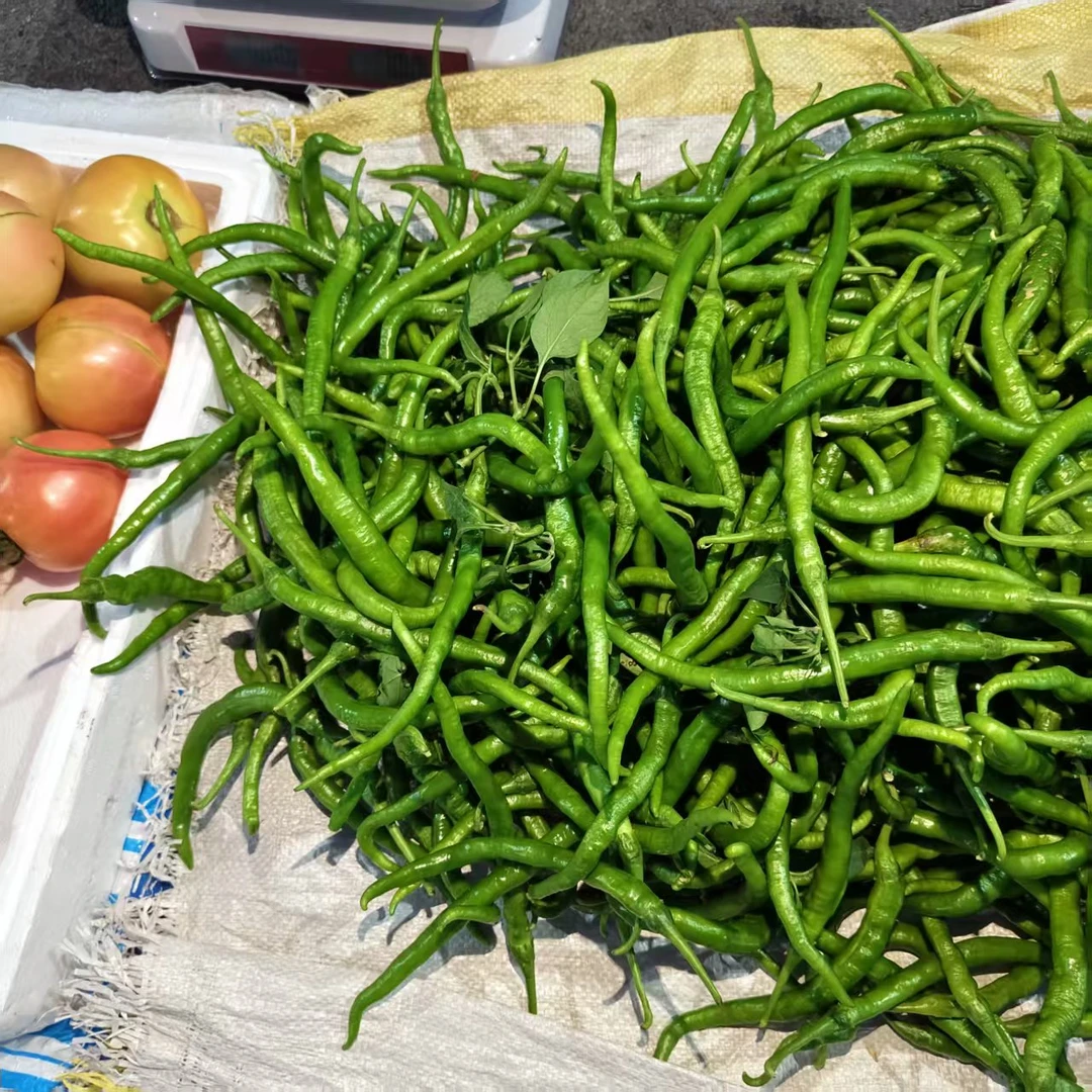 本地新鲜现摘薄皮软香辣青红辣椒线椒螺丝椒当季蔬