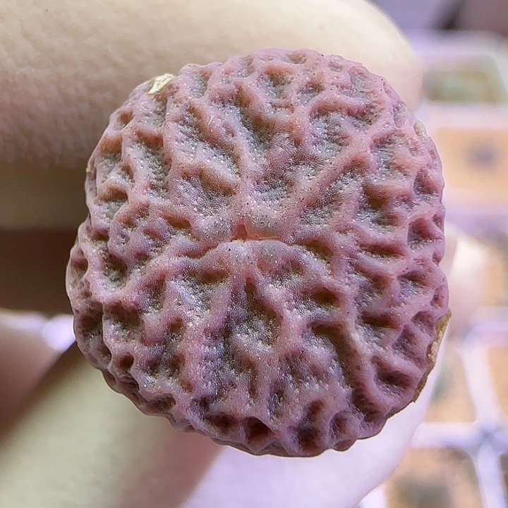 349超级烧麦优选福利