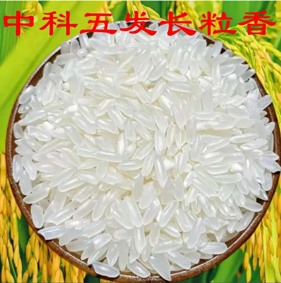 中科发五长粒香大米