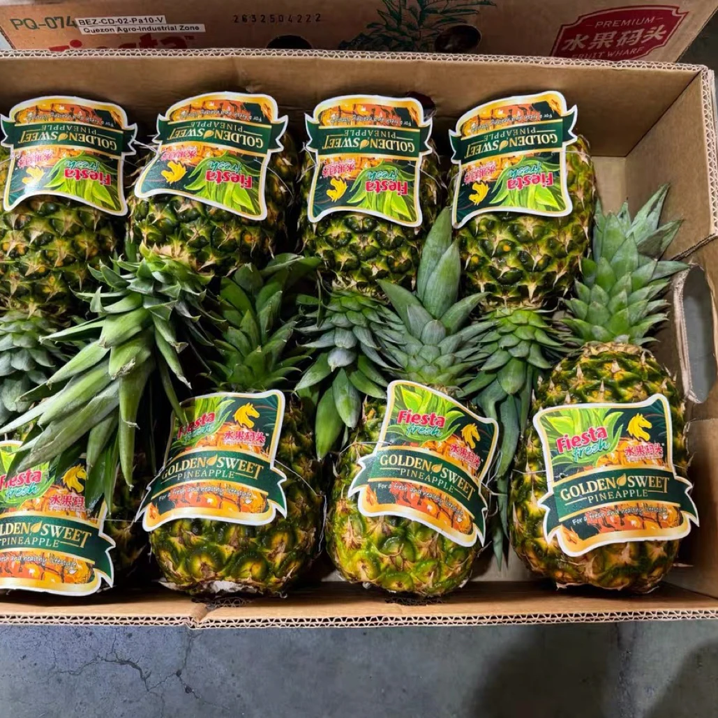 【平台推荐】菲律宾凤梨水果凤梨甜多汁牛奶凤梨菲律宾共和国