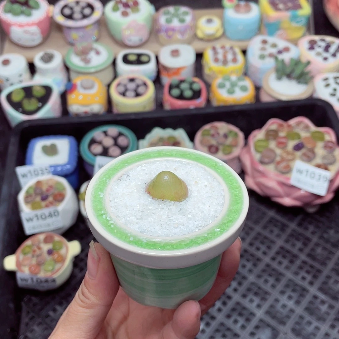 w1045 -零下地区拍保温箱-15支持寄养