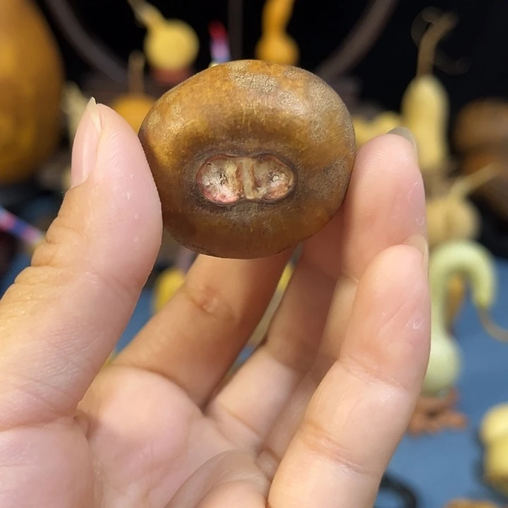 ˙***大大叶紫檀（黑酸枝木类）