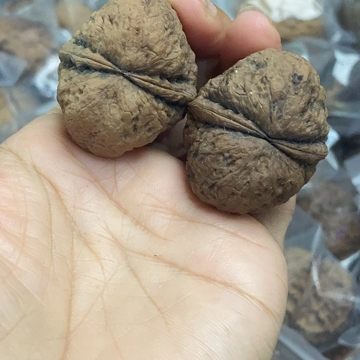 木质类云南铁核桃基地21