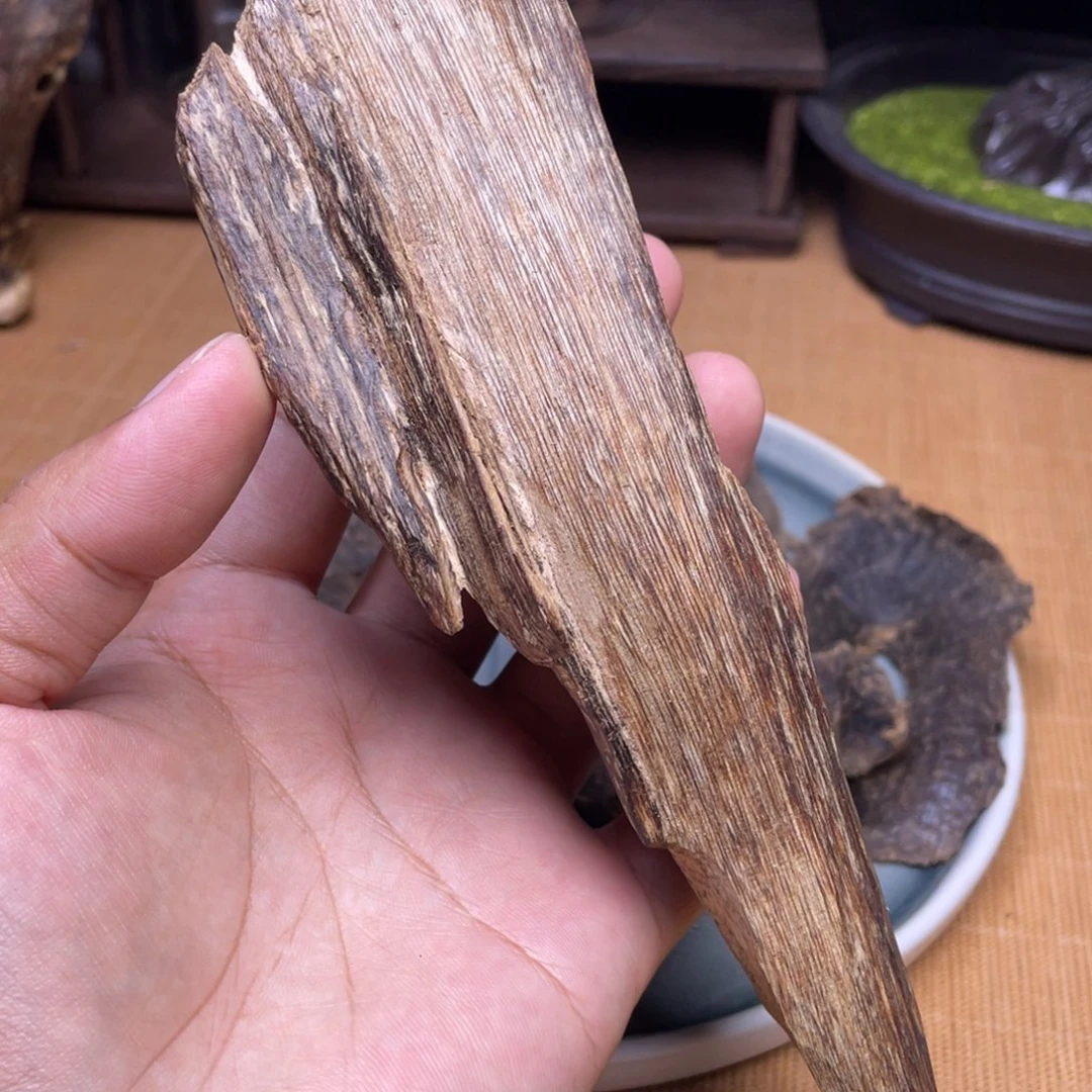 香榧木51克海南天然虫漏香