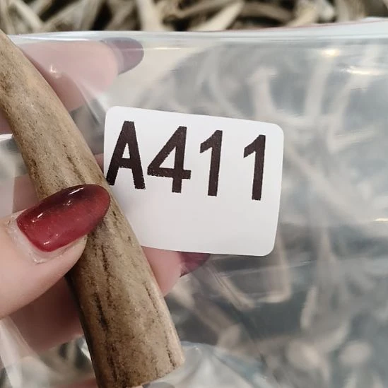 半***犬鹿角鹿角鹿角鹿角鹿角鹿角