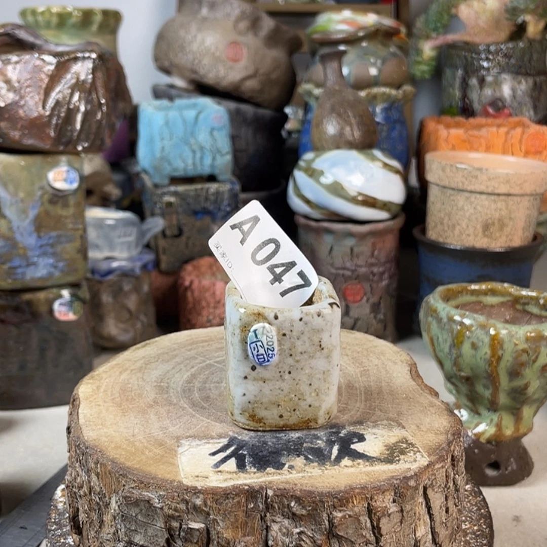 紫砂花盆开播福利 陶瓷花盆 默认微次