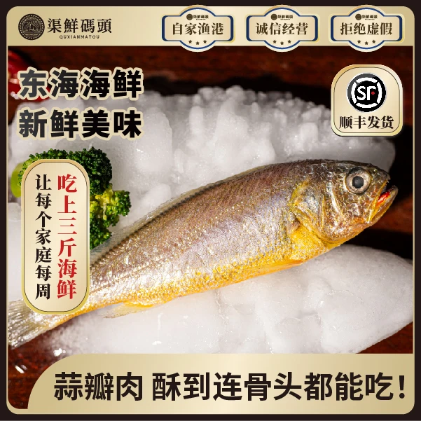 渠鲜码头东海野化小黄鱼3-5两/条