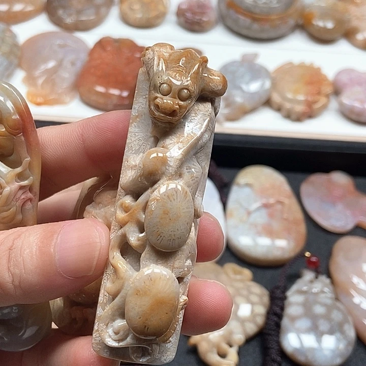 硅化珊瑚（珊瑚玉）未镶嵌颈饰