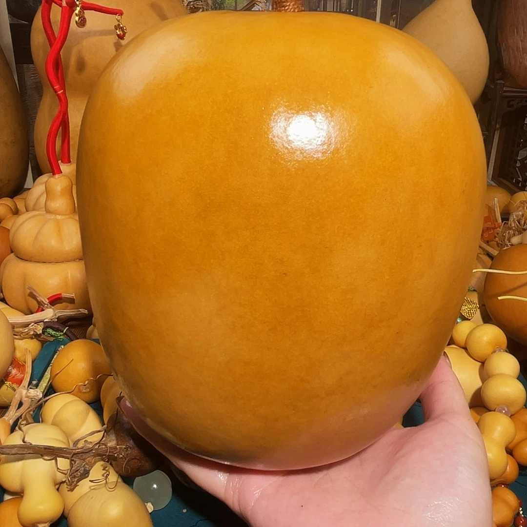 娱****?葫芦呀呀呀呀呀呀呀呀呀呀呀呀呀