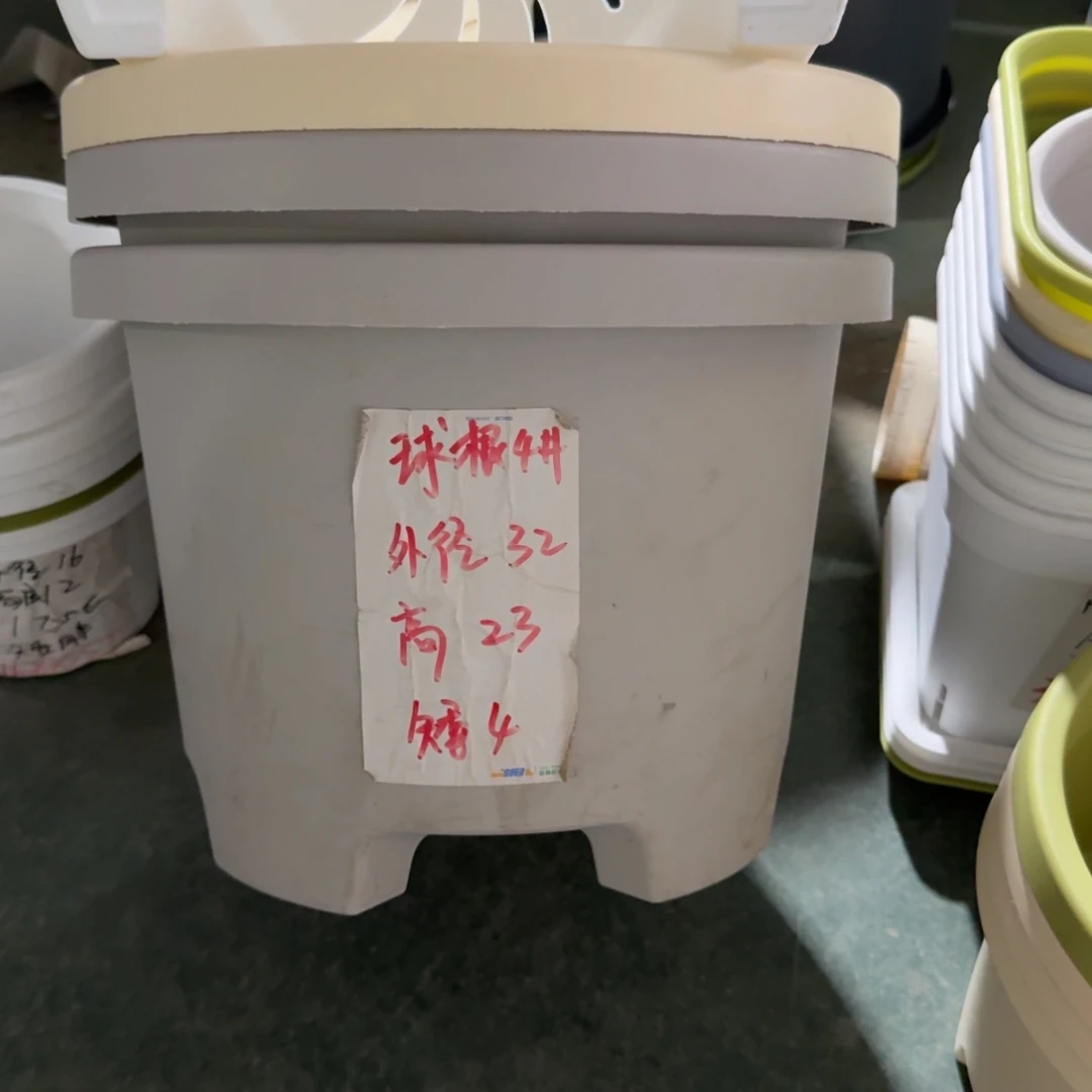 球根4号带托盘5套