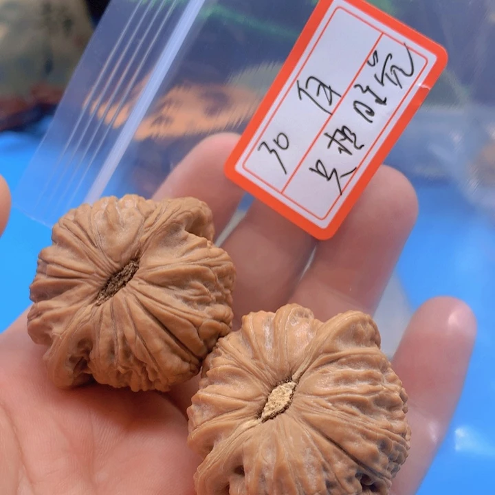 文玩核桃把件只***.白狮子