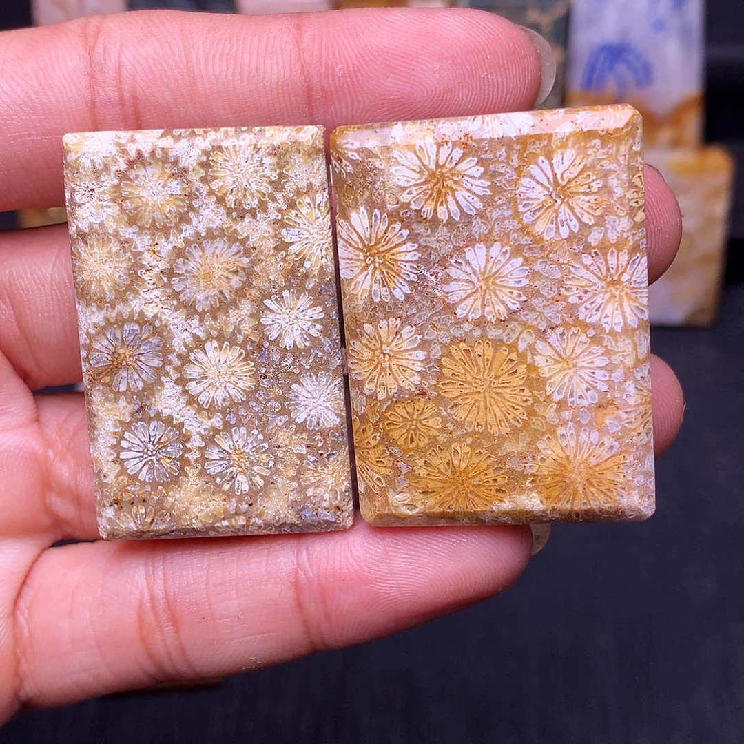 抹***儿硅化玉珊瑚玉合金