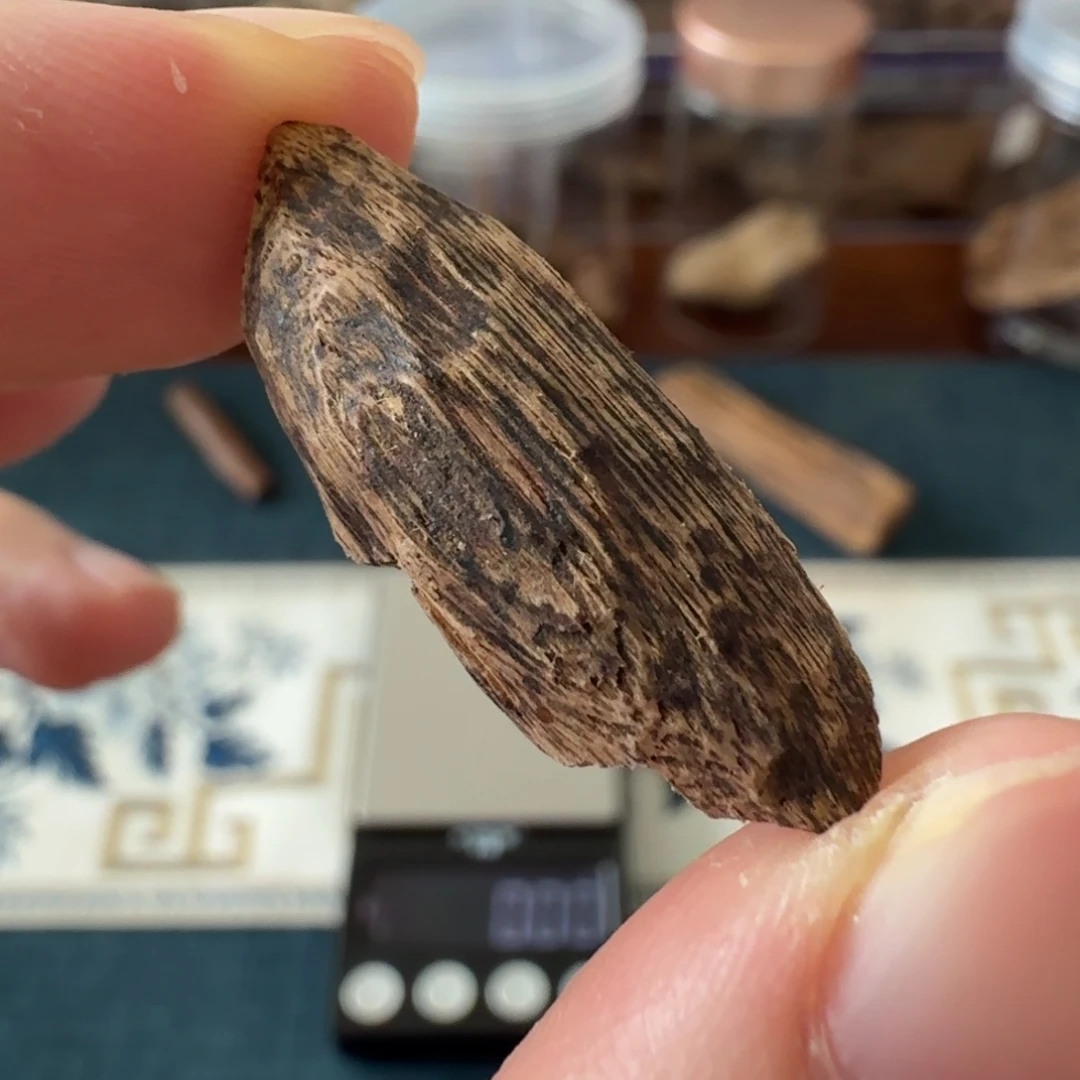 沉香斯里兰卡瓜子