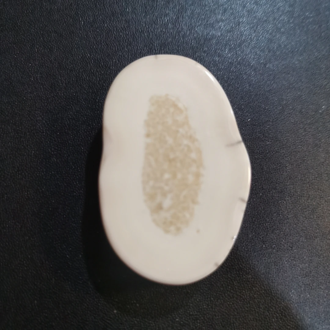 猛犸猛犸虬饼子WW323