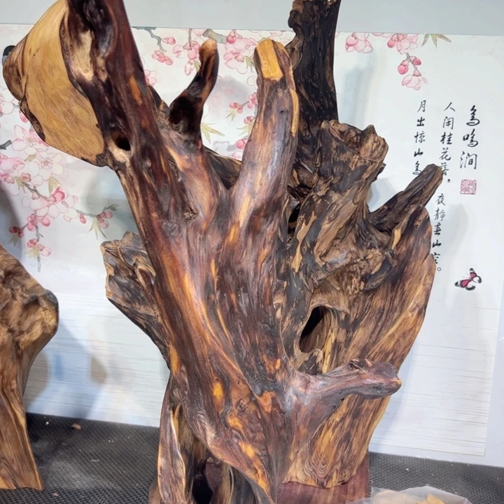 漯***材木直播间一物一拍