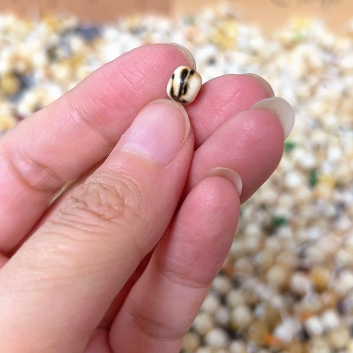 裸石蜜蜡未镶嵌7mm一个