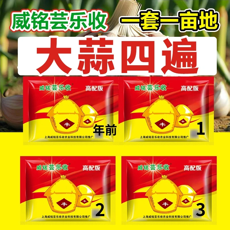 威铭芸乐收大蒜高产1亩4遍肥（10效合1）