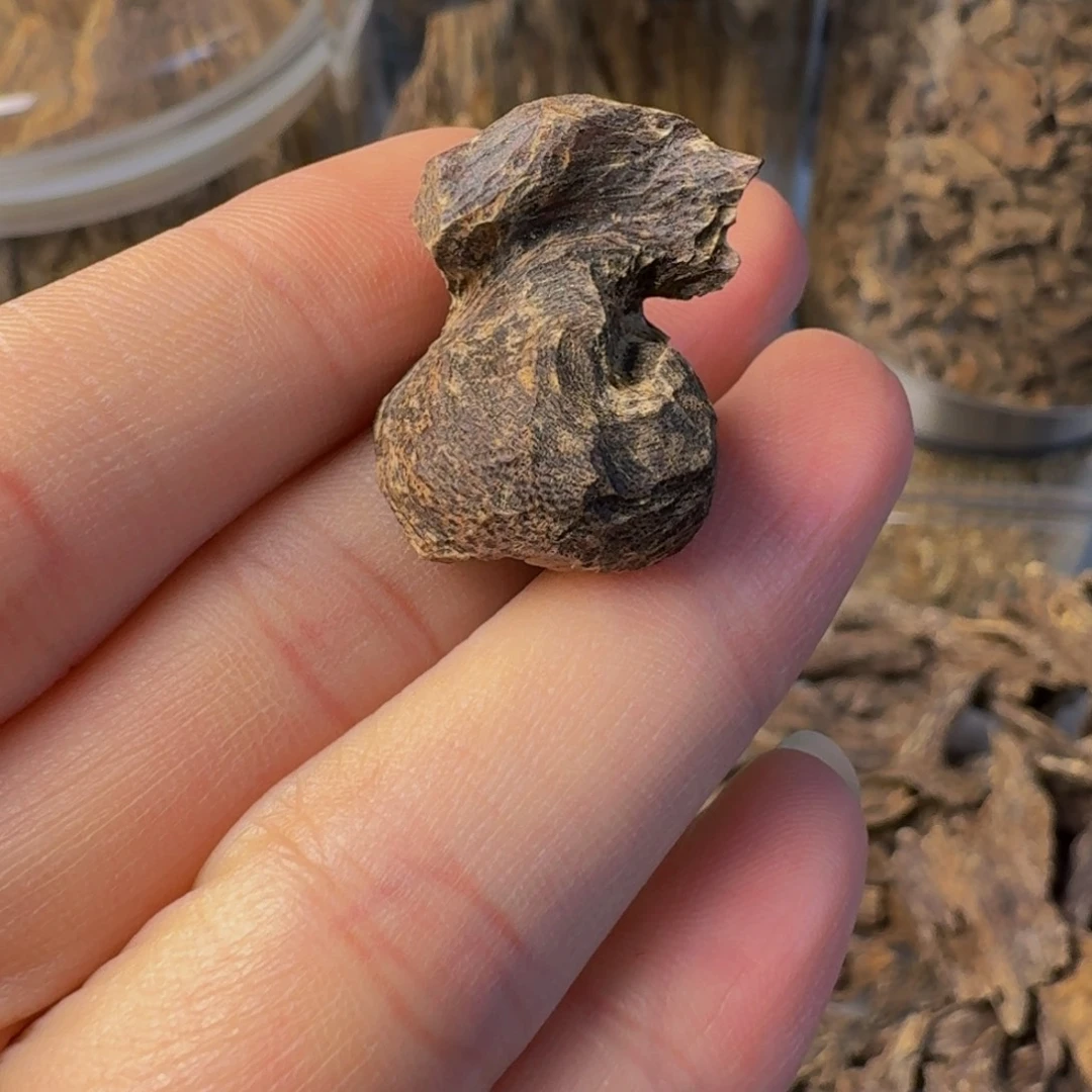 成***寇沉香碎屑沉香海南蚁漏1.2克