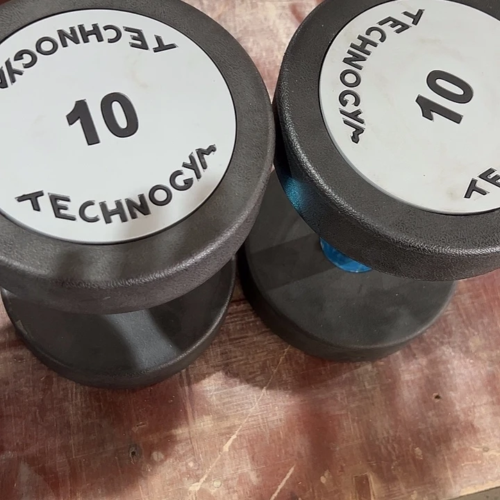 全新纯钢泰诺10公斤一对哑铃