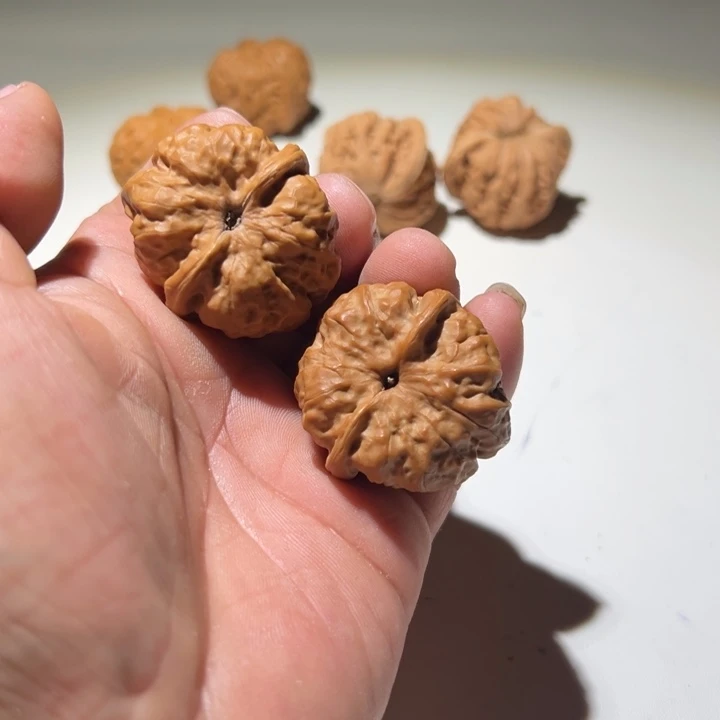 一***顺文玩核桃把件蛤蟆头