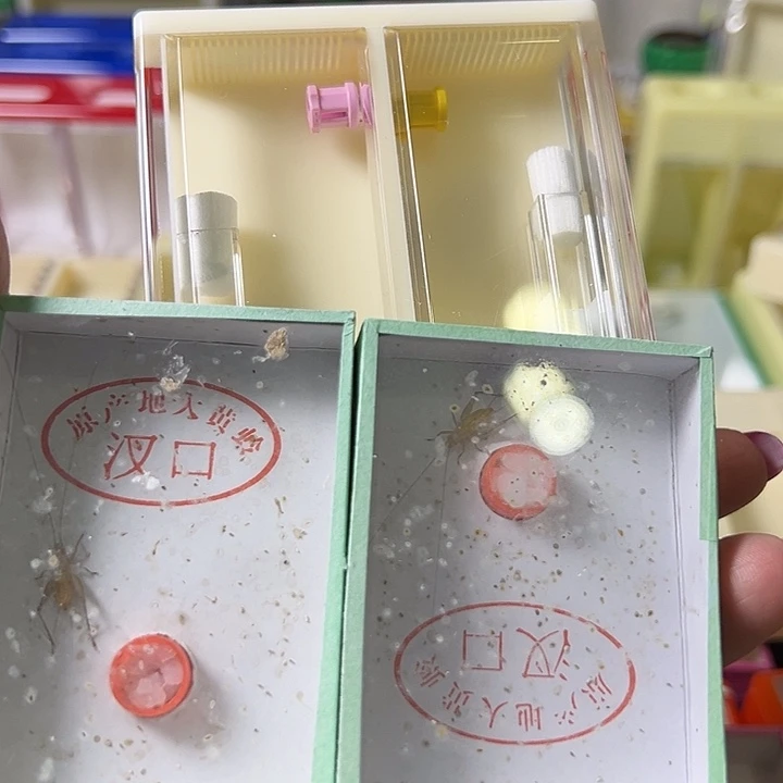 用***5蟋蟀哈哈哈哈哈哈哈哈哈哈哈哈