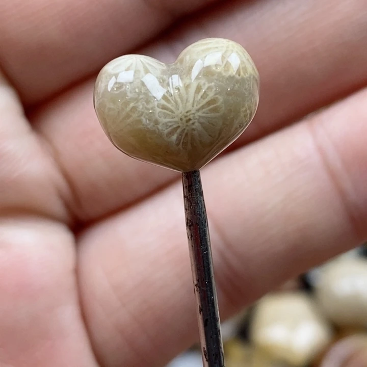 颈饰未镶嵌硅化珊瑚（珊瑚玉）小