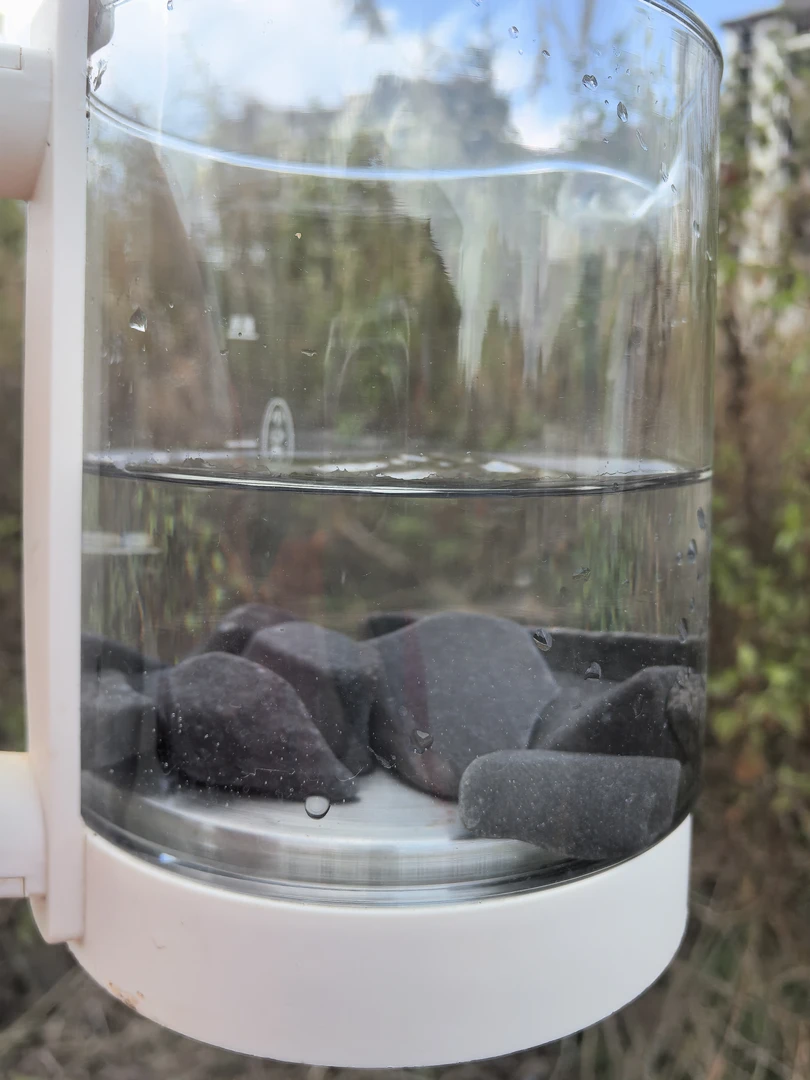 【土特产】长/寿/石净含量250g起