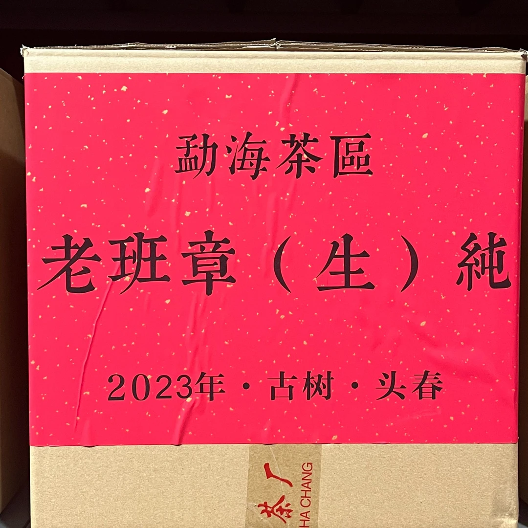 【啊豪普洱】2023年老班章古树混采纯料 茶王地头春 普洱茶生茶散茶