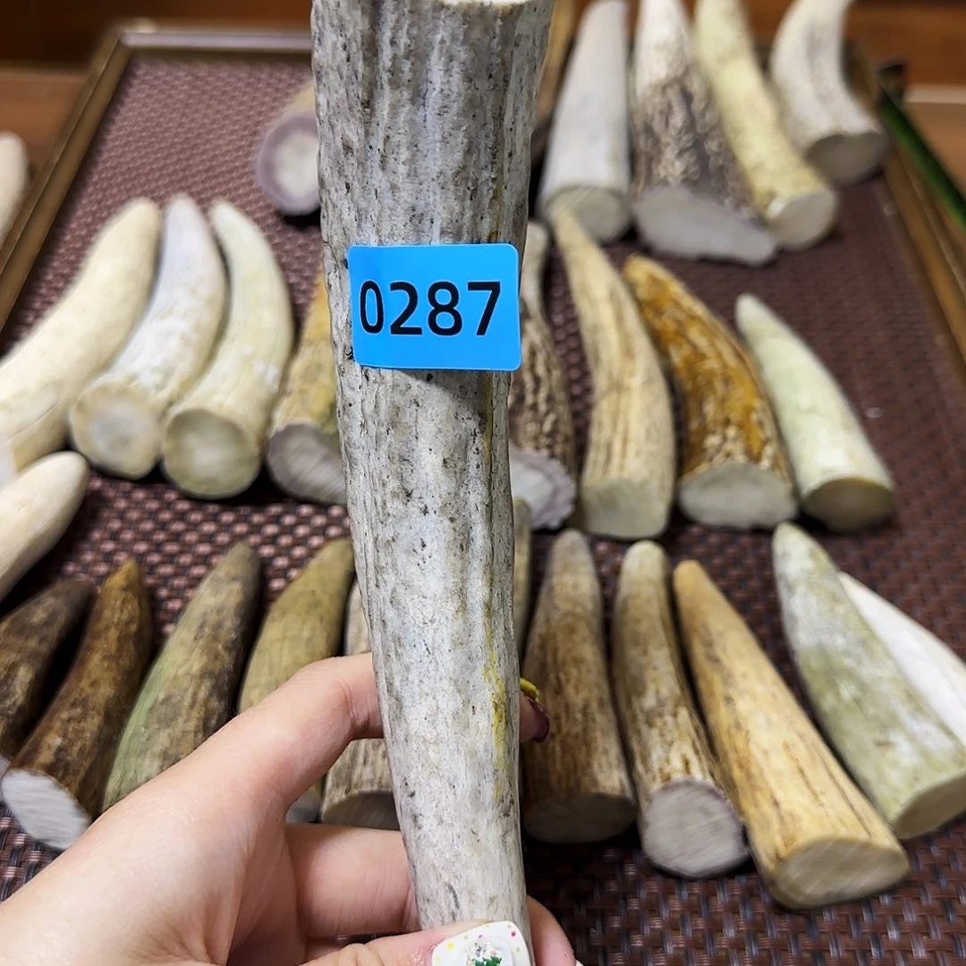 鹿骨手串/手链角尖0287