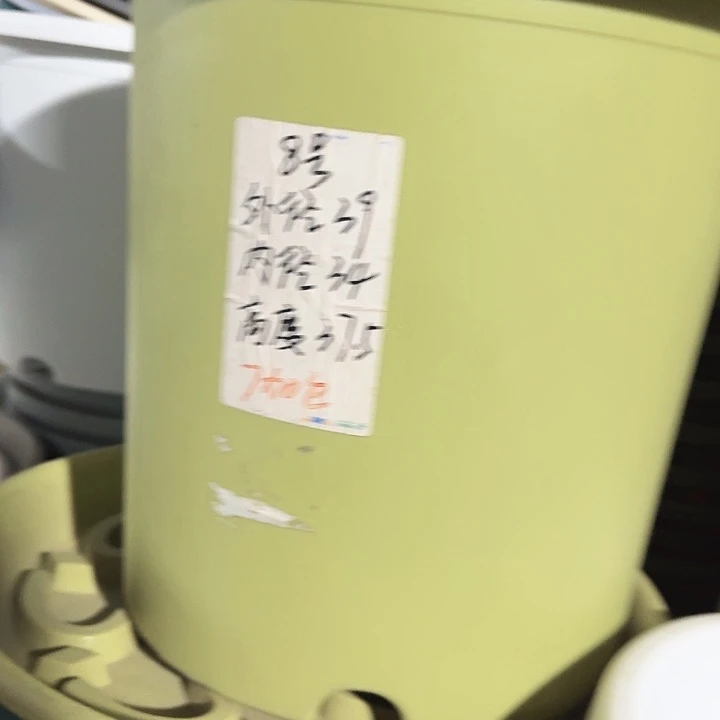 四季8号果绿带托3套特价微瑕