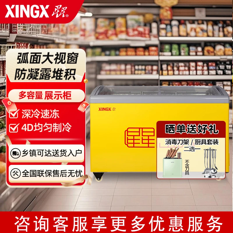 星星冰柜208/268/308升小型商用单温冷藏冷冻超市雪糕棒冰展示柜